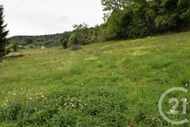 Afficher la photo en grand terrain à vendre - 5142.0 m2 - CHAPAREILLAN - 38 - RHONE-ALPES - Century 21 Immobilière De La Vallée