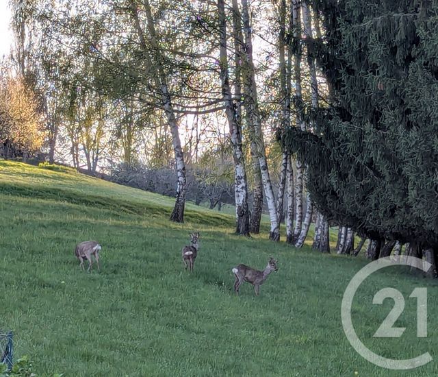 maison à vendre - 6 pièces - 185.0 m2 - ARVILLARD - 73 - RHONE-ALPES - Century 21 Immobilière De La Vallée